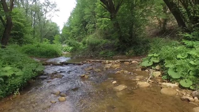 Drone Shot Flying Low Over A River Forest 