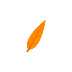 lanceolate maple leaf flat icon