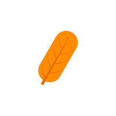 oblong maple leaf flat icon