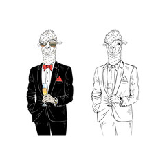 Cool Llama in tuxedo