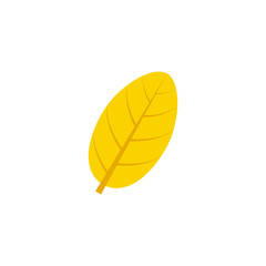 ovate maple leaf flat icon