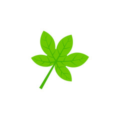 palmatifid maple leaf flat icon