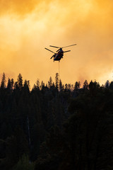 Destruction in Paradise, California Wildfire 