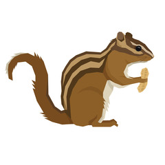 Forest Wildlife Vector animals Geometric style Chipmunk with peanut