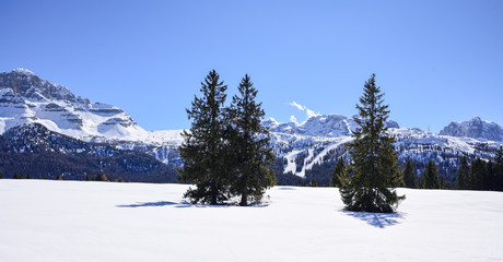 Alps in winter with soft snow and trees