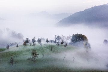 neblige Herbstlandschaft im Schwarzwald