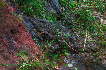 Arroyos, puntes, Rocas y Naturaleza en El Para&iacute;so, Capilla del Monte, C&oacute;rdoba, Argentina