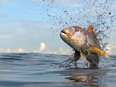 Common dentex fish jumping in ocean 3d render
