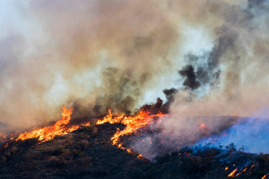 Wildfire Burns Hill with Flames and Dramatic Smoke Formations during Woolsey Fire California