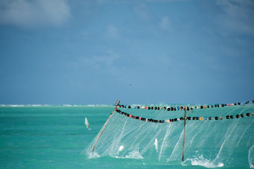 RODRIGUES ISLAND - Net fishing in lagoon