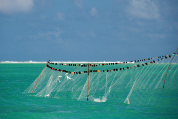RODRIGUES ISLAND - Net fishing in lagoon