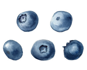 Obraz premium Realistic watercolor illustration of blueberries. Hand-drawn illustration.