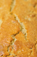 Top view , close up, macro of a freshly baked, homemade, cooling walnut bread