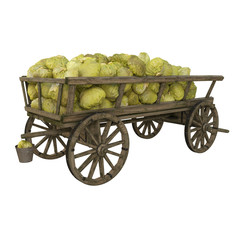 Wooden cart with cabbage