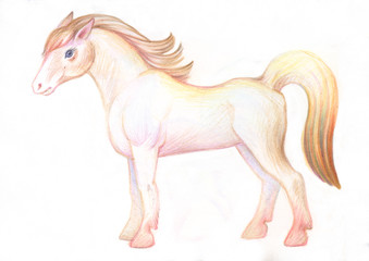 Obraz na płótnie Canvas Pencil drawing. Illustration for children. Image of animals with colored pencils. White young horse, beautiful and graceful.