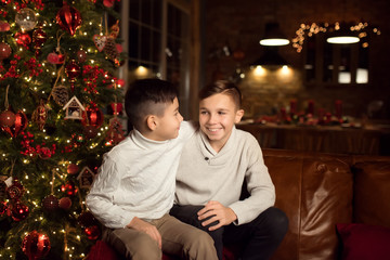 children two brothers in Christmas interior