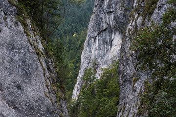 Fototapeta na wymiar Landscape of mountain peak in Bicaz Canyon, Romania