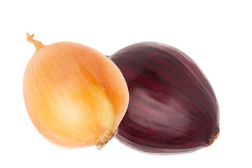 Red and yellow onion isolated on white background