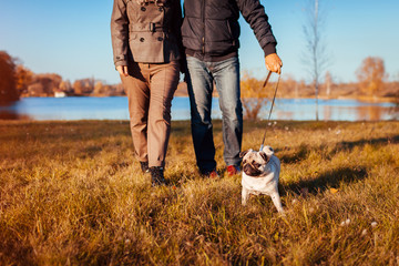 Senior couple walking pug dog in autumn park by river. Happy man and woman enjoying time with pet.