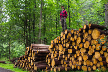 Portrait of lumberjack in forest, many big logs of pine on background. Young male hiker posing near the sawmeal in the pines forest.