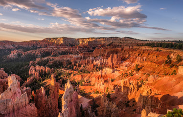 Early Morning view of the great amphitheater from the Bryce Canyon rim