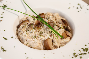 a close up of mushroom risotto in a white plate