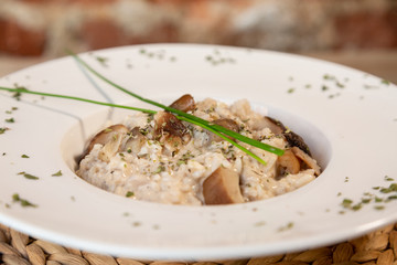 a close up of mushroom risotto in a white plate