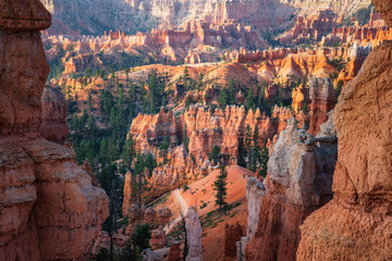 Early Morning view of the Navajo Loop Trail from the Bryce Canyon rim