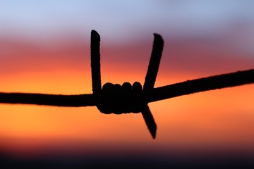 Barbed wire close-up as a symbol of jail and bondage