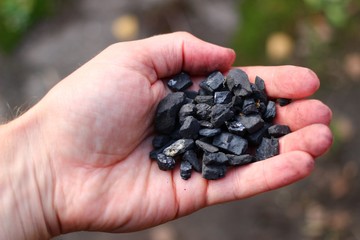 Coal in the hand close-up