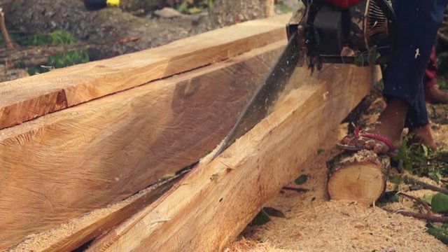 Man slice tree trunk with chainsaw to make lumber
