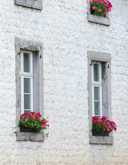 Fototapeta na wymiar white wall and flowers at windows