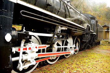 Obraz premium SL公園