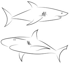 Black line sharks on white background. Hand drawn linear sketch. Vector graphic fishes. Animal illustration. Sketch style.