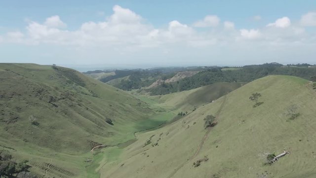 Areal footage revealing a beautiful green valley and a car road on top of a hill on a bright sunny day in New Zealand North Island. 4k quality video.