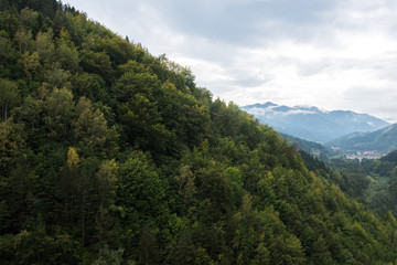 Landscape of forest and mountains from top
