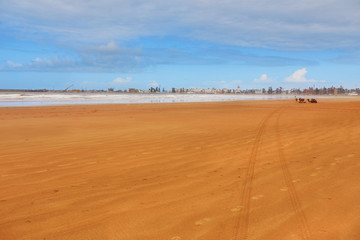 Camels lying on the sandy beach by the sea in Essaouira, Morocco