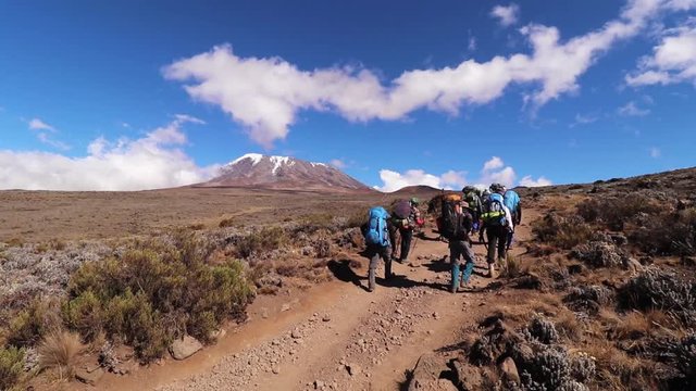 Static shot of a group of people hiking, towards the summit of mount Kilimanjaro, on a sunny day, near Horombo hut, in Tanzania, Africa