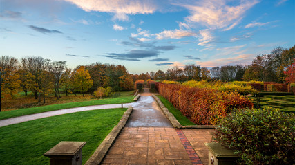 English Garden Autumn Dawn