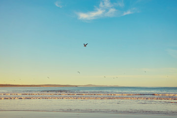 Naklejka premium stunning beach on the Atlantic ocean