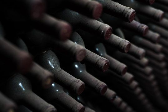 Old Red Wine Bottles In Dark Cellar