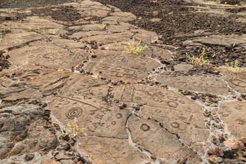 Petroglyphs in Waikoloa Field, on the King's Trail (