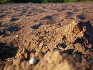 river sand on the shore in summer