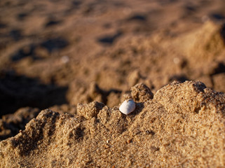 river sand on the shore in summer