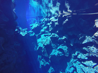 Silfra - absolutely clear blue water between continental plates in Iceland