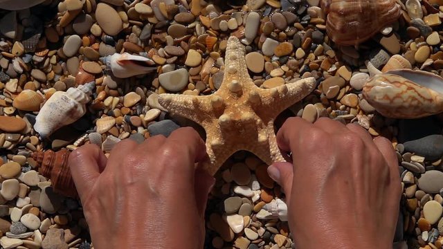 Look from above with woman eyes, manipulating sea stuff with her hands on pebble beach background close up. Slow motion in amazing natural vacation scene with vibrant texture in sun shine.
