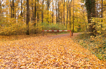 Altenburg / Germany: Autumnal leaves on a forest path with closed wooden barrier gate in the urban forest in November