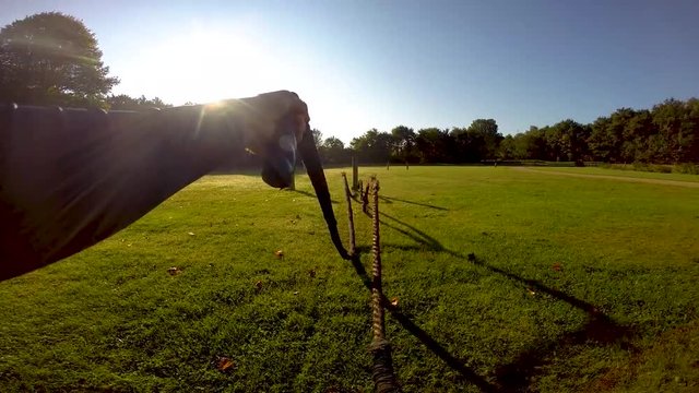 Bootcamp workout rope slam first person view - Powered by Adobe