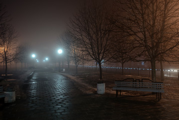 lanterns trees and benches in fog at night in park