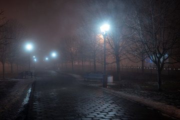 lanterns trees and benches in fog at night in park
